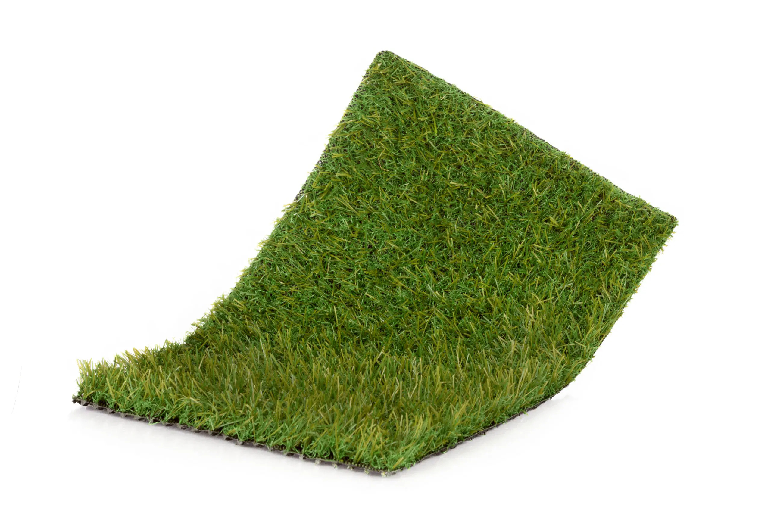 relva_GrassSumm